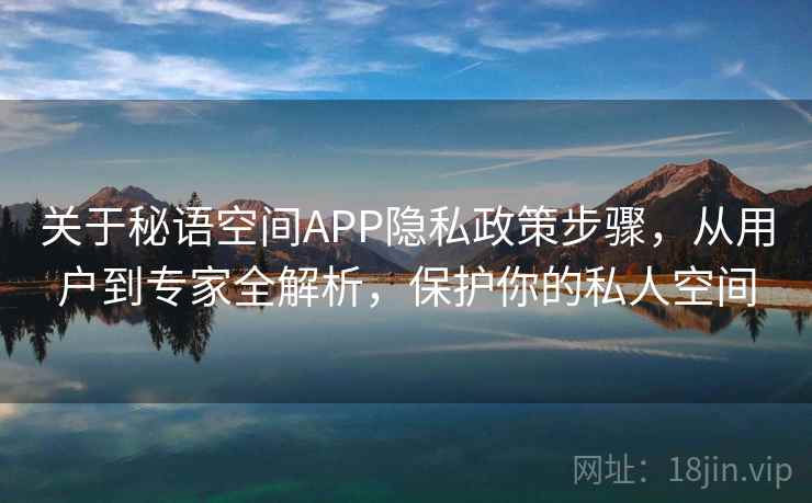 关于秘语空间APP隐私政策步骤，从用户到专家全解析，保护你的私人空间