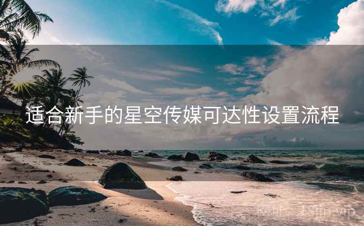 适合新手的星空传媒可达性设置流程