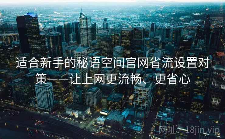 适合新手的秘语空间官网省流设置对策——让上网更流畅、更省心