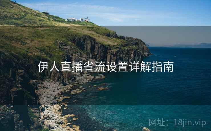 伊人直播省流设置详解指南