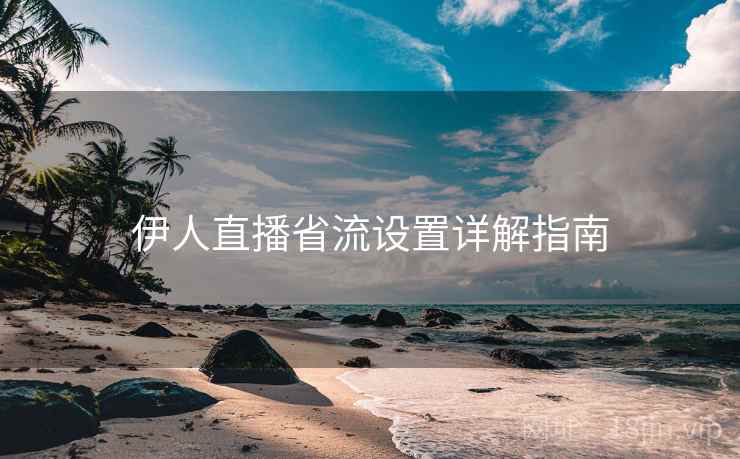 伊人直播省流设置详解指南