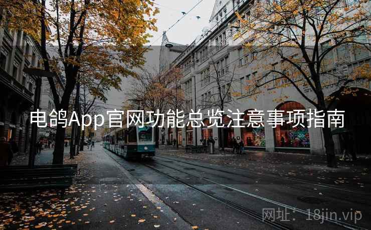 电鸽App官网功能总览注意事项指南