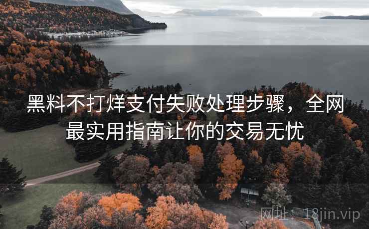黑料不打烊支付失败处理步骤,全网最实用指南让你的交易无忧 黑料不打烊支付失败处理步骤,全网最实用指南让你的交易无忧