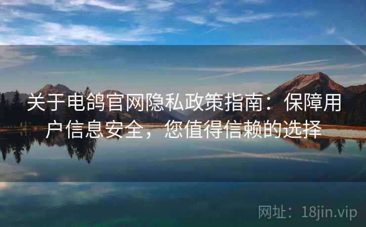 关于电鸽官网隐私政策指南:保障用户信息安全,您值得信赖的选择 关于电鸽官网隐私政策指南:保障用户信息安全,您值得信赖的选择