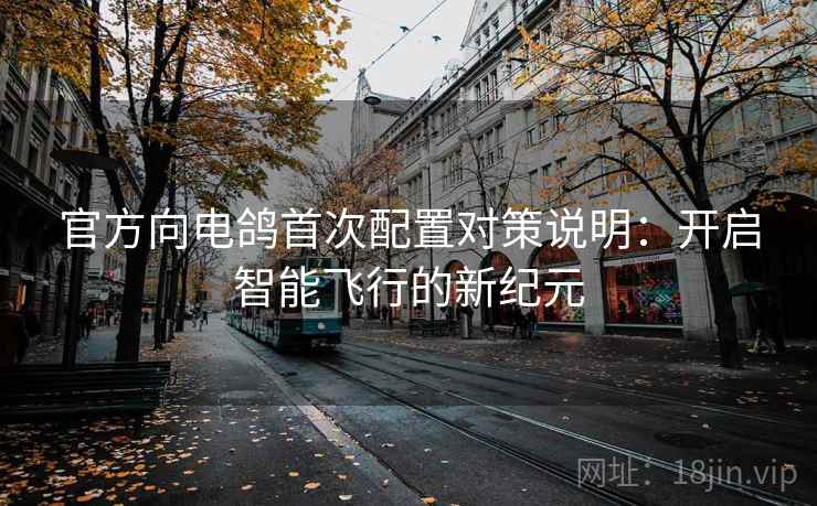 官方向电鸽首次配置对策说明：开启智能飞行的新纪元