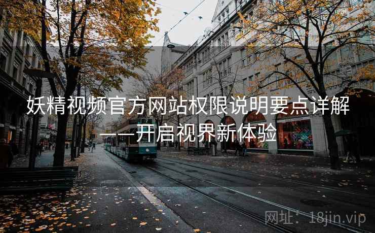 妖精视频官方网站权限说明要点详解——开启视界新体验