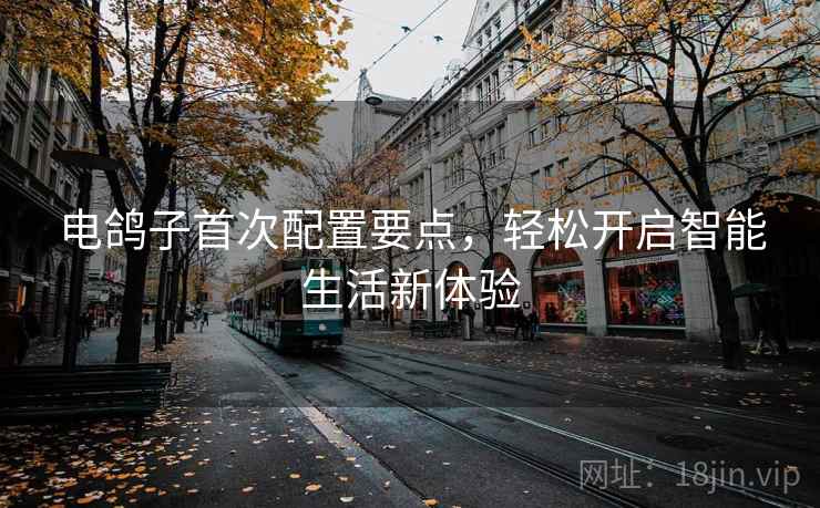 电鸽子首次配置要点,轻松开启智能生活新体验 电鸽子首次配置要点,轻松开启智能生活新体验